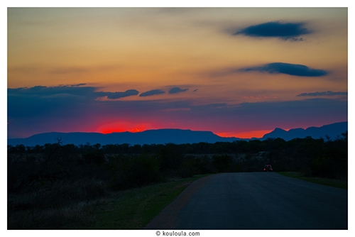 Une journĂ©e au parc Kruger, 13 heures de safari đŠ Super coucher de soleil au parck kruger vers 18h
