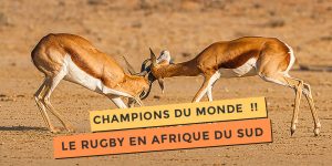 Le rubgy en Afrique du Sud !