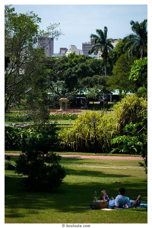 Guide Complet : construire son itinĂ©raire đŠ Le jardin botanique de Durban
