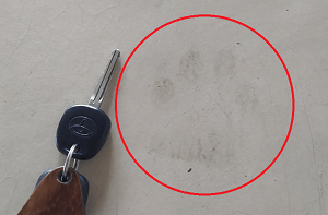 ADFđ„ #2 : Une trace suspecte prĂšs de mon lit ADFđ„ #2 : Une trace suspecte prĂšs de mon lit