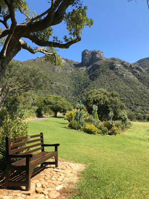 Jardin Botanique de Kirstenbosh Vue sur les montagnes de Cape Town en étant au Jardin Botanique de Kirstenbosch