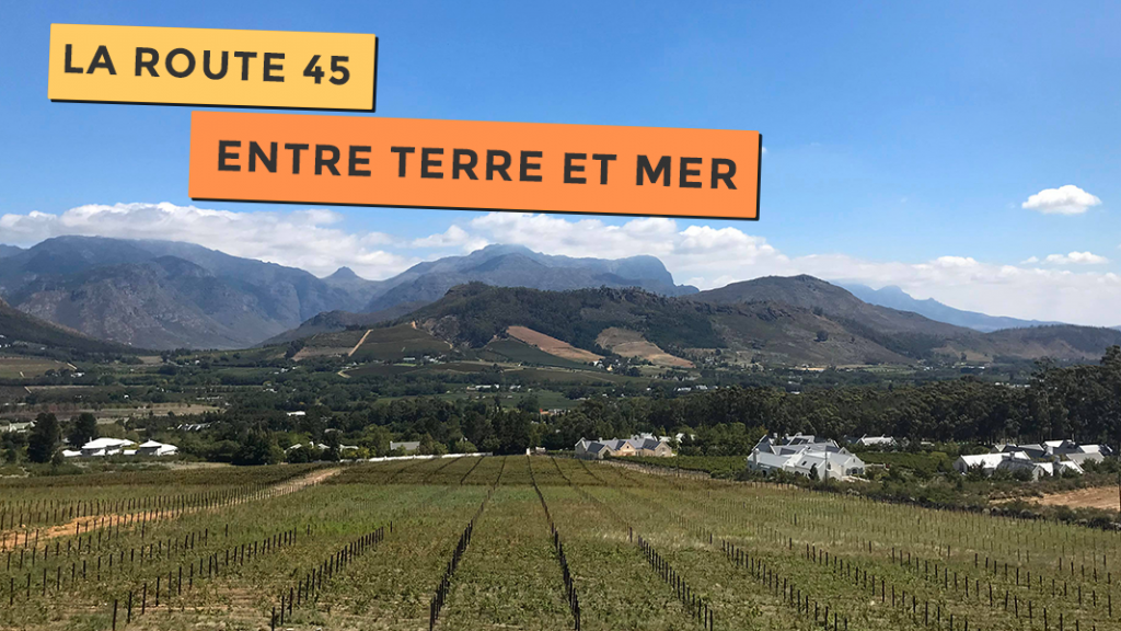 Vue magnifique sur la route des vins près de Cape Town