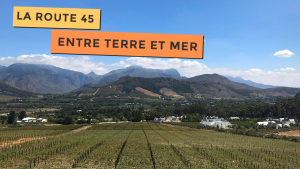 Blog Vue magnifique sur la route des vins près de Cape Town