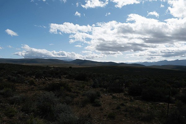 ADF🔥 #8 : Le désert de Karoo ! Le désert de Karoo, le plus grand désert d'Afrique du Sud !