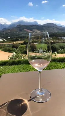 Dégustation de vin dans les vignes de Cape Town,