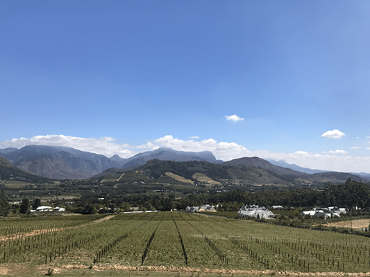 ADF🔥 #8 : Le désert de Karoo ! Super vue sur les vigne de Cape Town