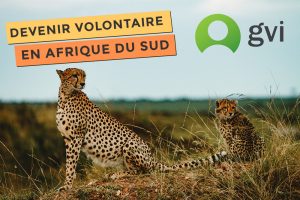 Blog Photo de GVI devenir volontaire en Afrique du sud