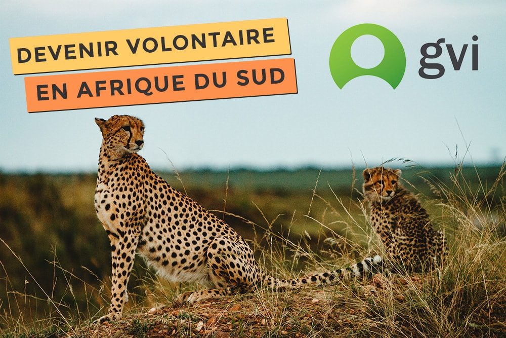Photo de GVI devenir volontaire en Afrique du sud