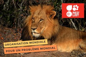 photo de IUCN pour la conservation mondiale
