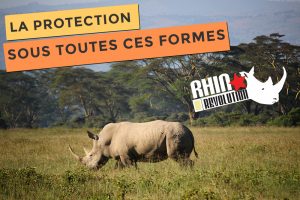 Photo de Rhino Revolution, voilà une protection sous toutes ses formes