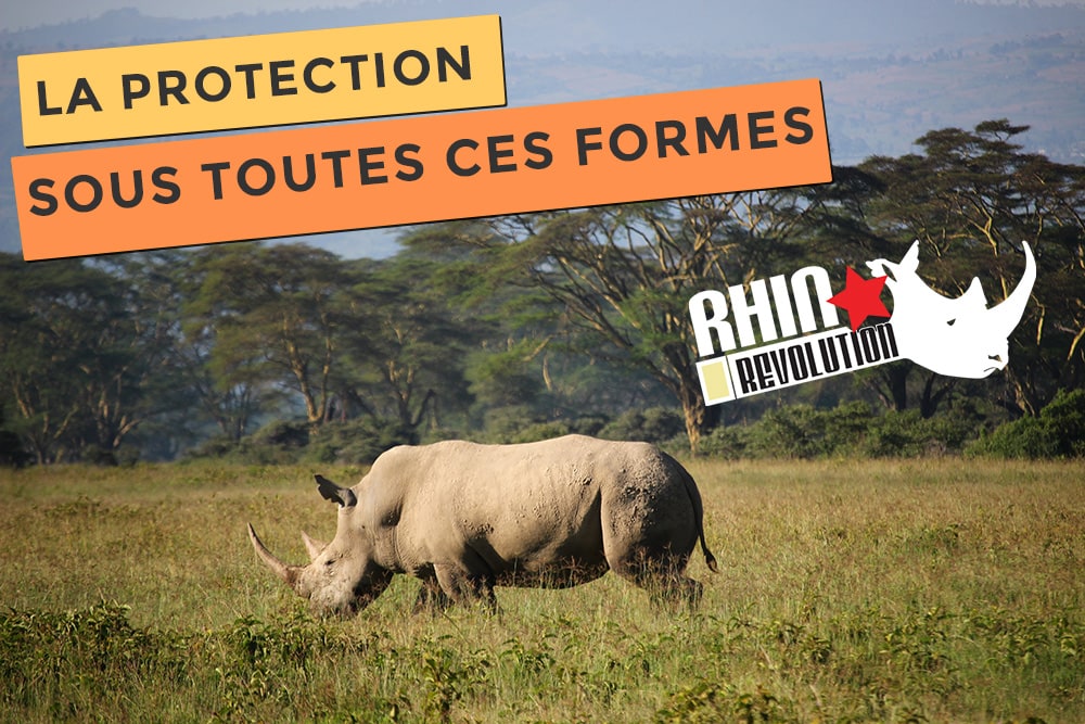 Photo de Rhino Revolution, voilà une protection sous toutes ses formes