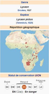 Le Lycaons, un chien sauvage démocratique 🤨 lycaon carte wiki