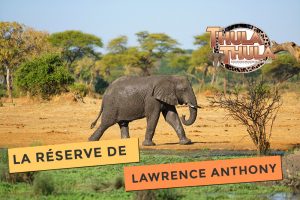Blog Photo de Thula Thula la réserve mythique de Lawrence Anthony