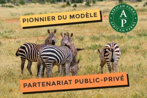 African park ponnier du modèle Partenariat Public-Privé
